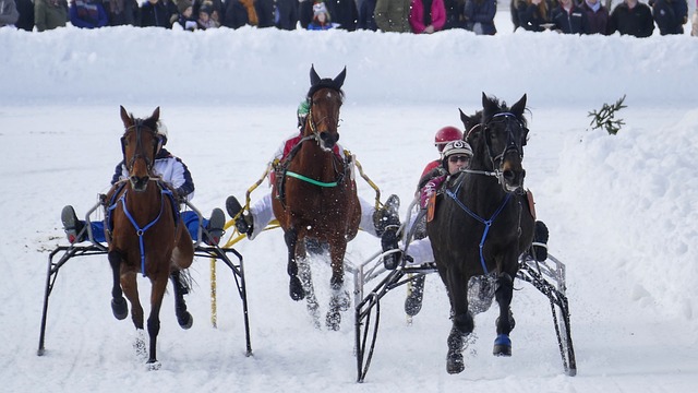 球队主教练 球队主教练
