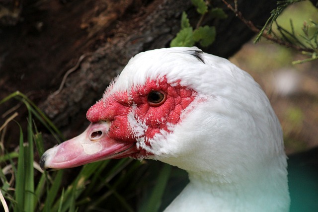 球队连续取 球队连续取