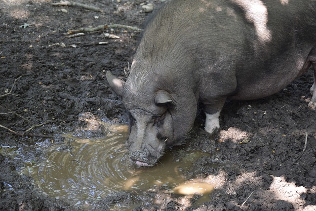 战术分析与 战术分析与