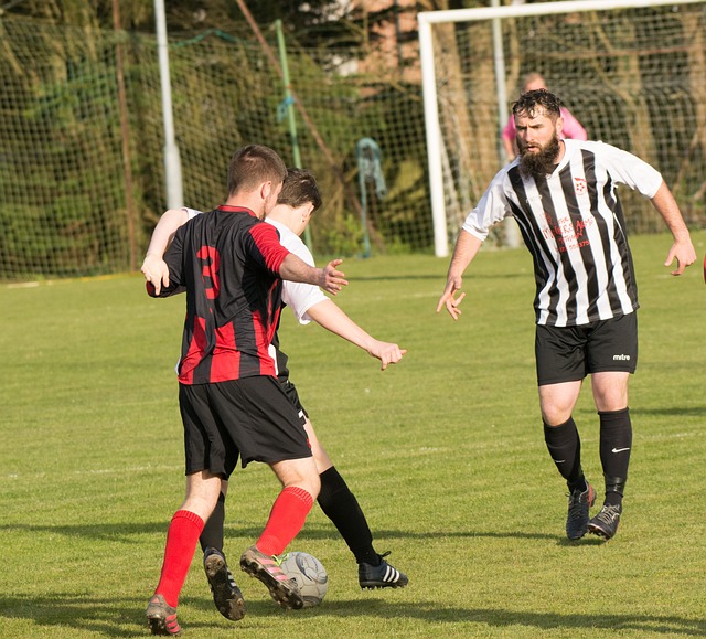 太阳却频频 太阳却频频