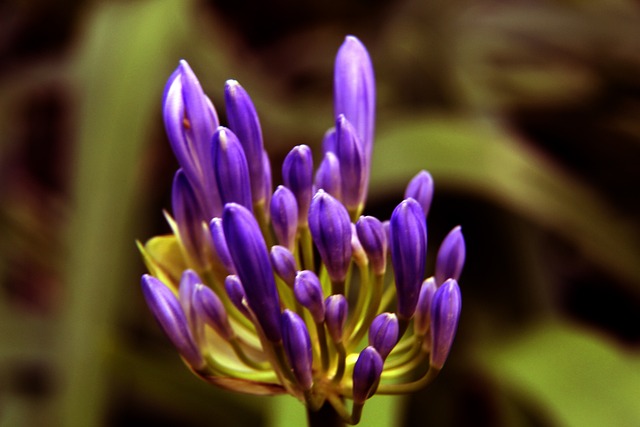 低音效果 低音效果