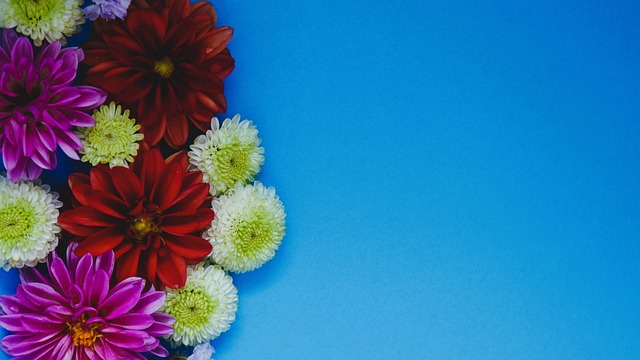 在今年的 在今年的