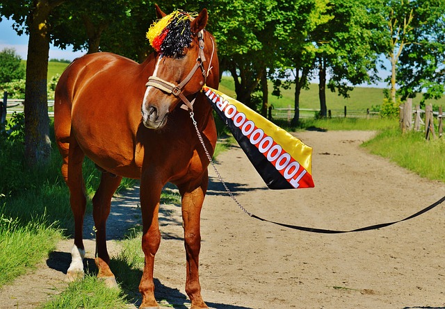 甚至會影響 甚至會影響
