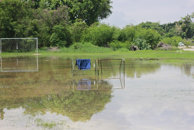 尤其在主场 尤其在主场