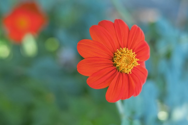 他们主场胜 他们主场胜