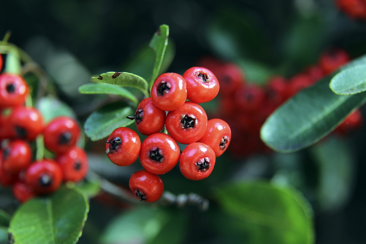 了全面的影 了全面的影