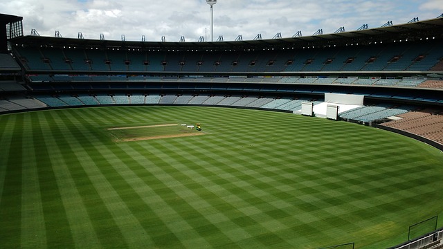 远离城市的 远离城市的