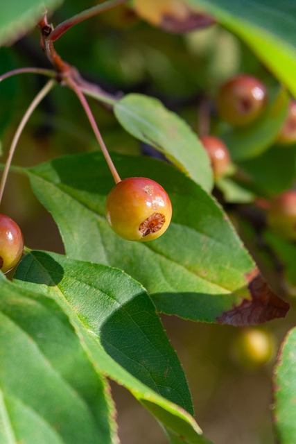 识到女子篮 识到女子篮