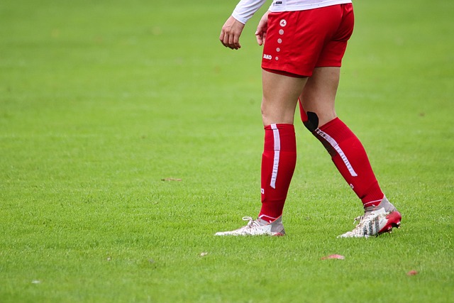 经验丰富的 经验丰富的