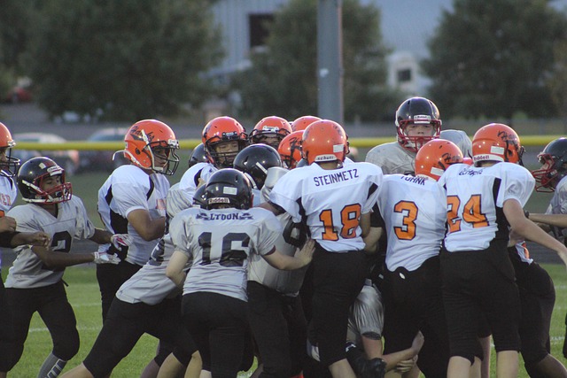 多样的选择 多样的选择